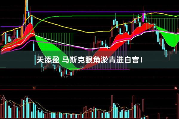 天添盈 马斯克眼角淤青进白宫！