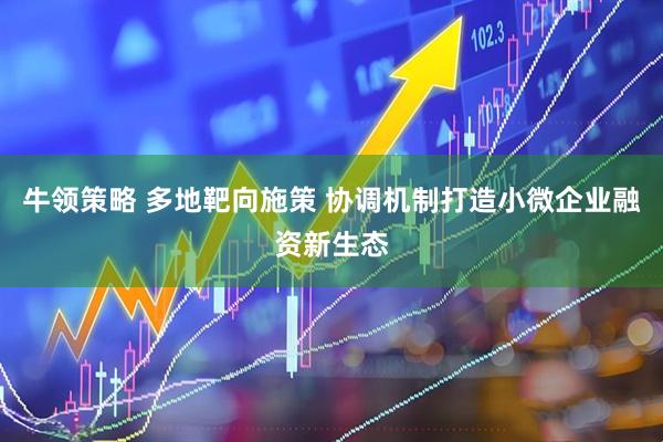 牛领策略 多地靶向施策 协调机制打造小微企业融资新生态