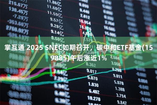 掌互通 2025 SNEC如期召开，碳中和ETF基金(159885)午后涨近1%