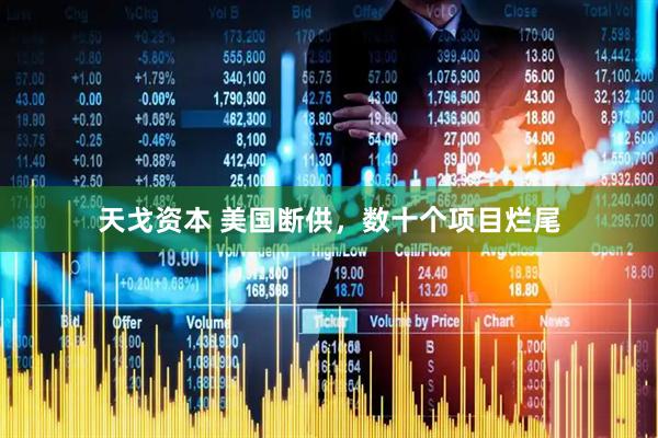 天戈资本 美国断供，数十个项目烂尾