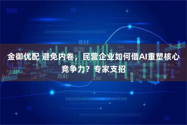 金御优配 避免内卷，民营企业如何借AI重塑核心竞争力？专家支招