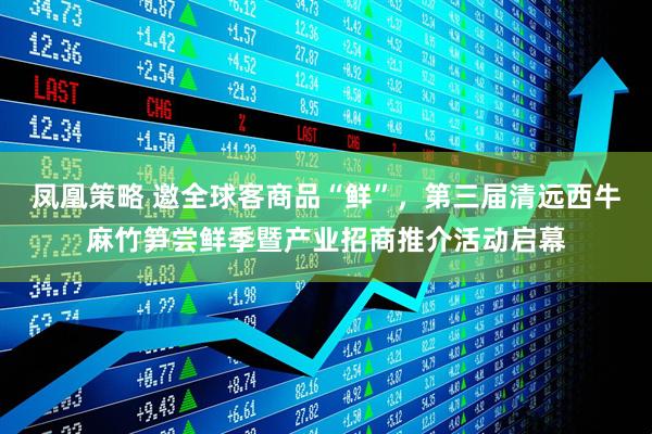 凤凰策略 邀全球客商品“鲜”，第三届清远西牛麻竹笋尝鲜季暨产业招商推介活动启幕