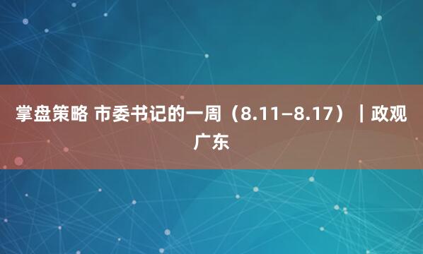 掌盘策略 市委书记的一周（8.11—8.17）｜政观广东