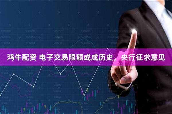 鸿牛配资 电子交易限额或成历史，央行征求意见