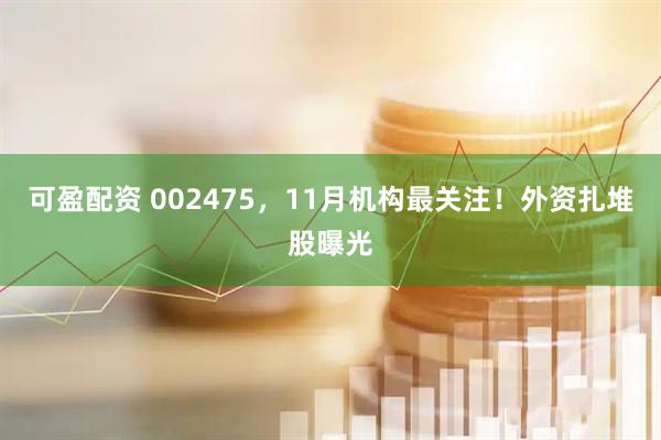 可盈配资 002475，11月机构最关注！外资扎堆股曝光