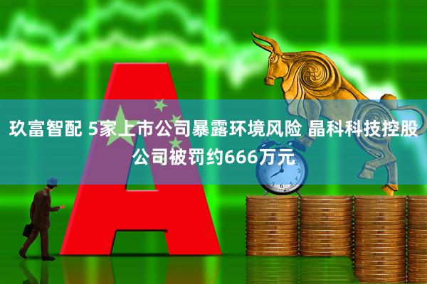 玖富智配 5家上市公司暴露环境风险 晶科科技控股公司被罚约666万元