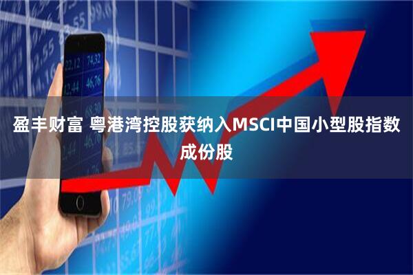 盈丰财富 粤港湾控股获纳入MSCI中国小型股指数成份股