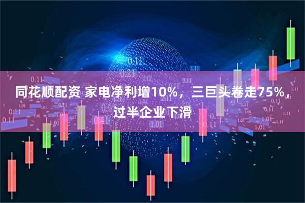 同花顺配资 家电净利增10%，三巨头卷走75%，过半企业下滑