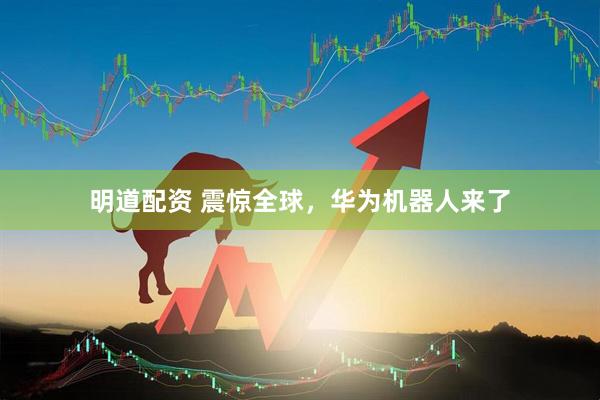 明道配资 震惊全球，华为机器人来了